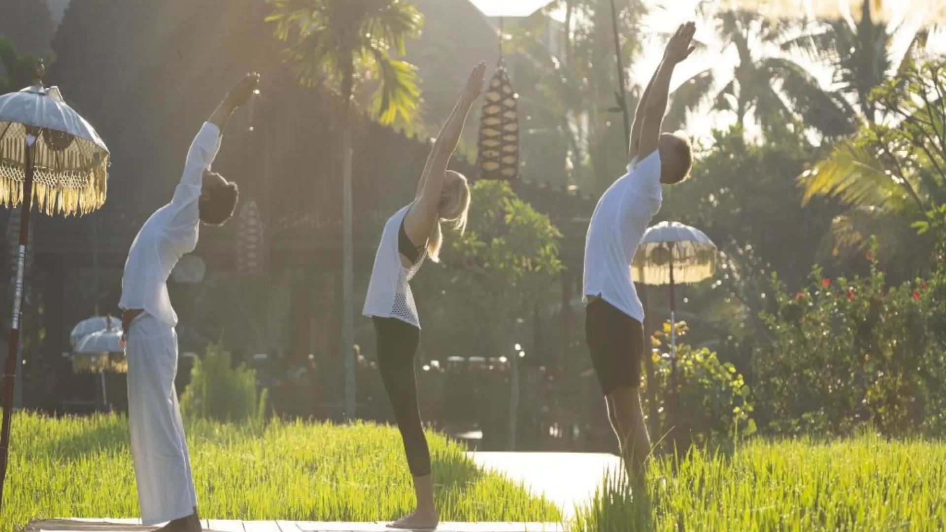 Alaya Resort Ubud