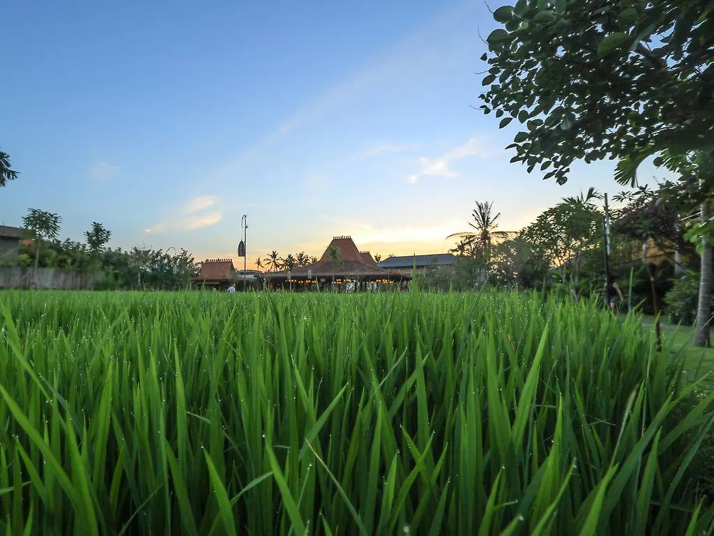 Alaya Resort Ubud