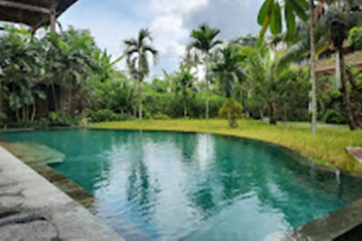 Alaya Resort Ubud אובוד
